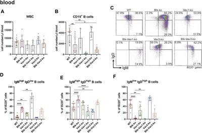 Differential Requirement of Vav Proteins for Btk-dependent and –Independent Signaling During B Cell Development